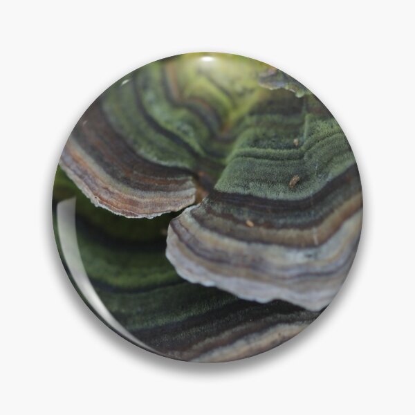 Item preview, Bracket fungus designed and sold by cuprum.