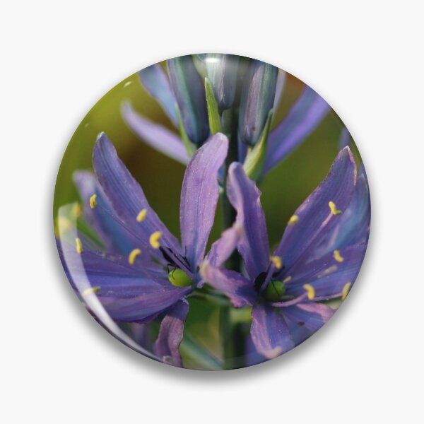 Item preview, Camassia designed and sold by cuprum.