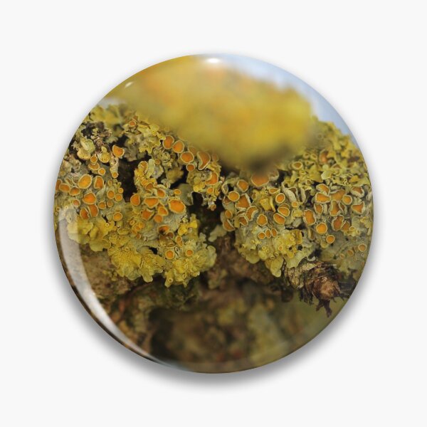Item preview, Lichen designed and sold by cuprum.