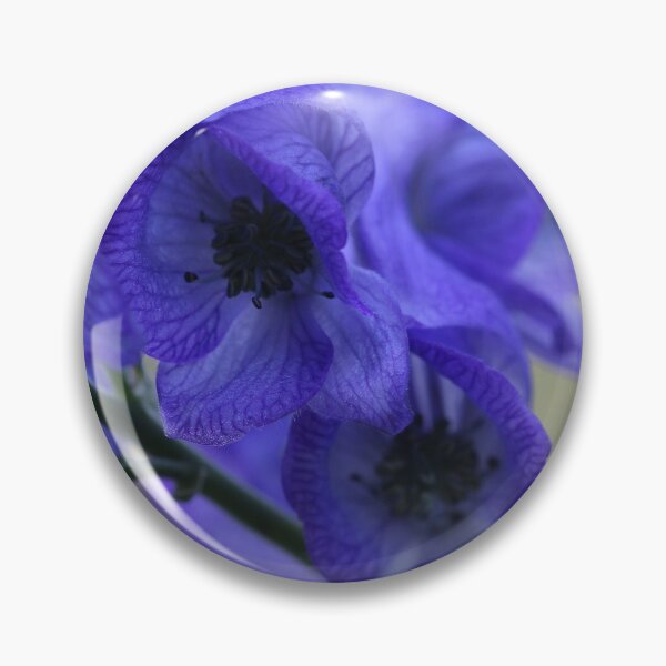 Item preview, Monkshood designed and sold by cuprum.