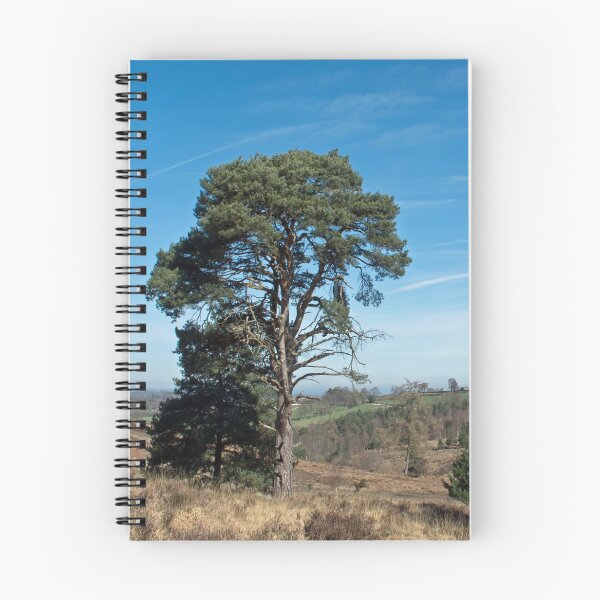 Item preview, Ashdown Forest designed and sold by Sue Robinson.