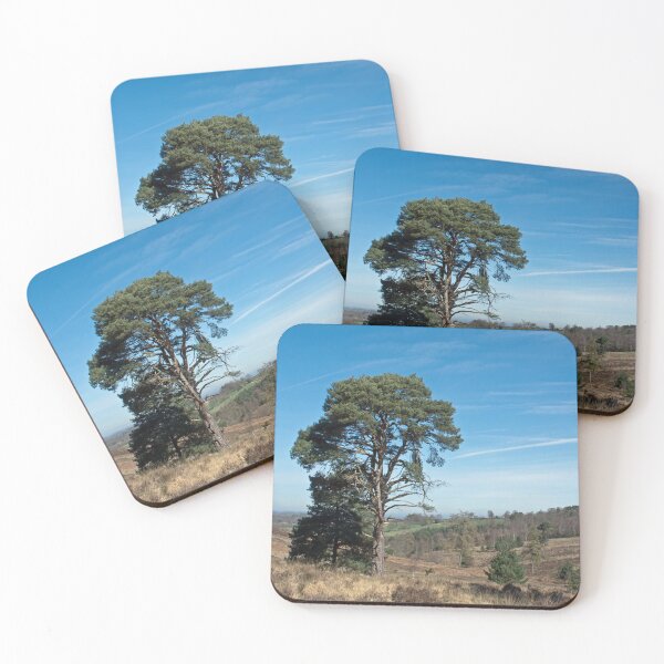 Item preview, Ashdown Forest designed and sold by Sue Robinson.