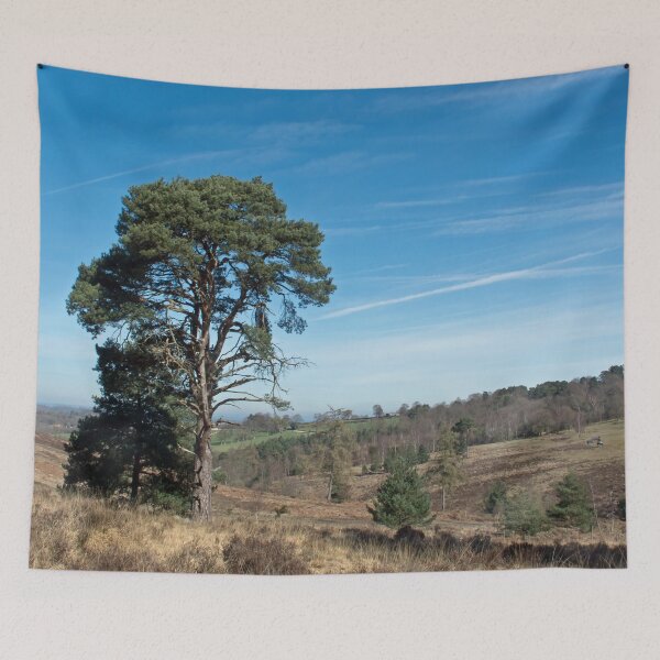 Item preview, Ashdown Forest designed and sold by Sue Robinson.
