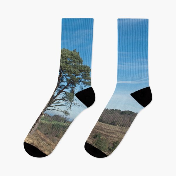 Item preview, Ashdown Forest designed and sold by Sue Robinson.