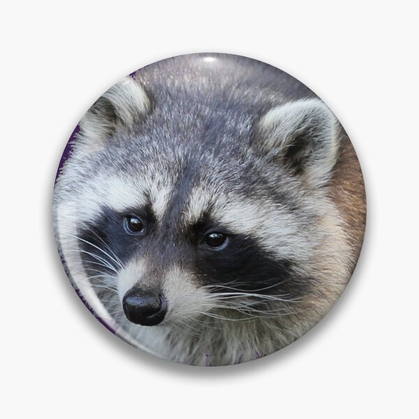 Item preview, Raccoon designed and sold by cuprum.