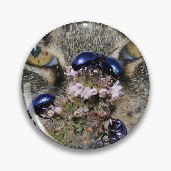Item preview, This is bugging me SO much... designed and sold by cuprum.