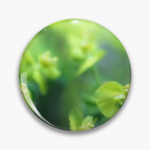 Item preview, Euphorbia designed and sold by cuprum.
