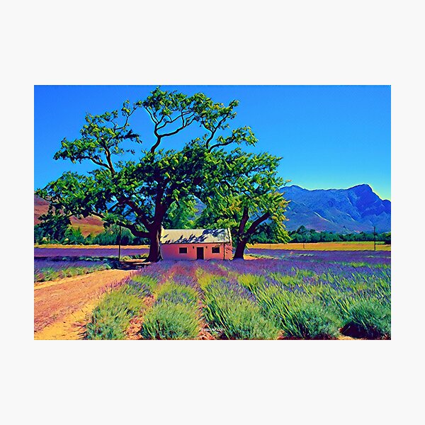 Franschhoek, South Africa - Fine Art Collection Photographic Print