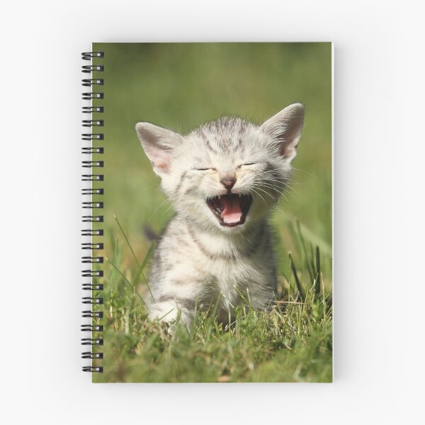 Item preview, cute kitten designed and sold by JeanettesPets.