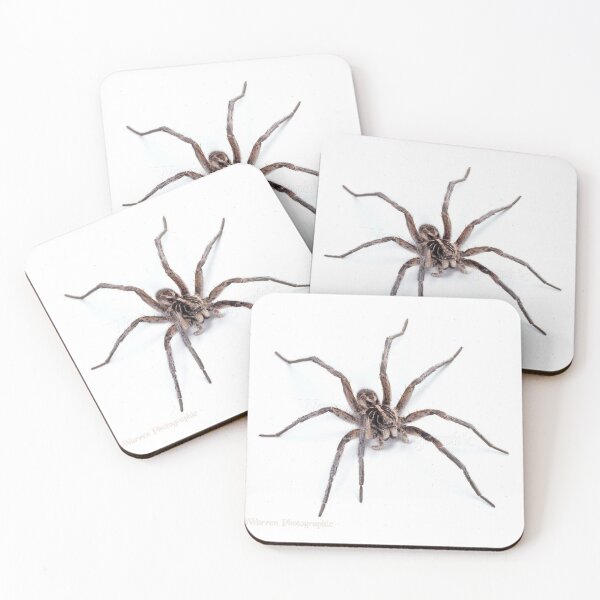 Item preview, Awesome Spider  designed and sold by WackyJacks.