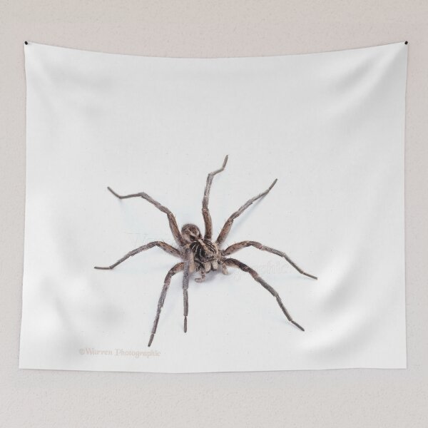 Item preview, Awesome Spider designed and sold by WackyJacks.