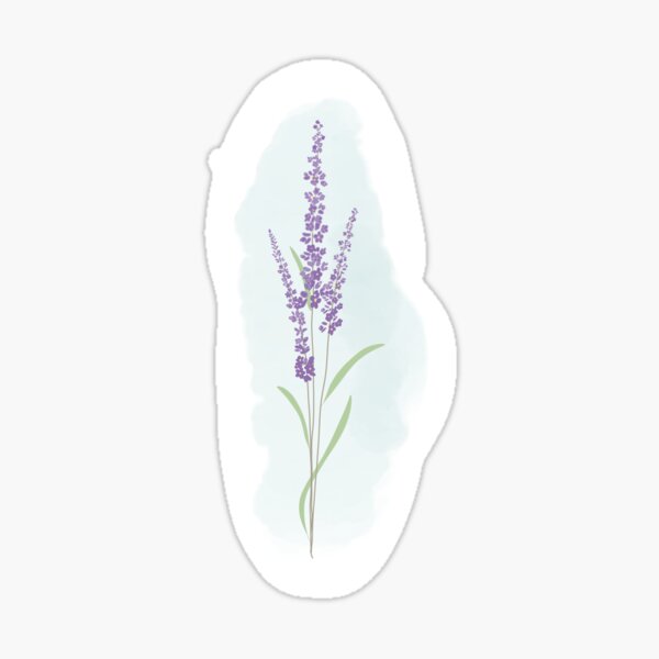 Little bit of Lavender Sticker