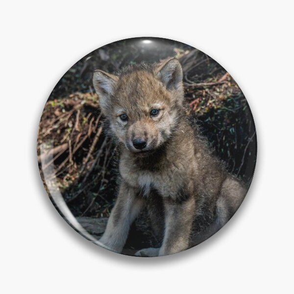 Item preview, Timber Wolf Pup designed and sold by WolvesOnly.