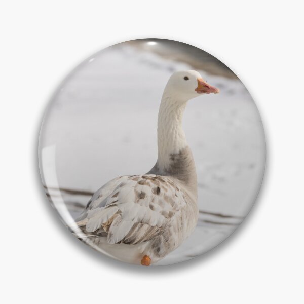 Item preview, Snow Goose Strut designed and sold by mljdwhite.