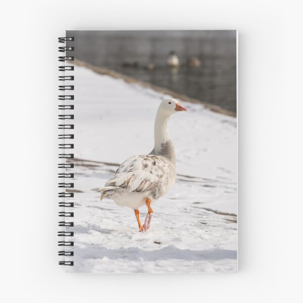 Item preview, Snow Goose Strut designed and sold by mljdwhite.