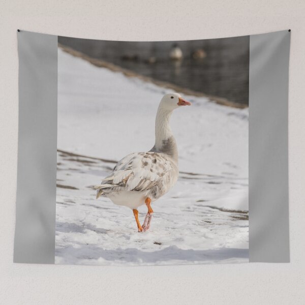 Item preview, Snow Goose Strut designed and sold by mljdwhite.