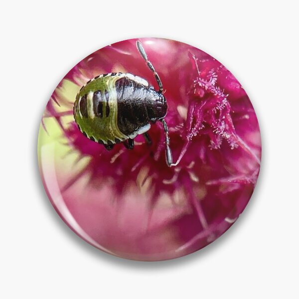 Item preview, Green shield bug on love lies bleeding designed and sold by TimConstable.