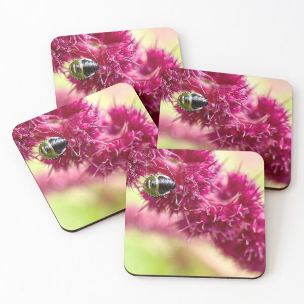 Item preview, Green shield bug on love lies bleeding designed and sold by TimConstable.