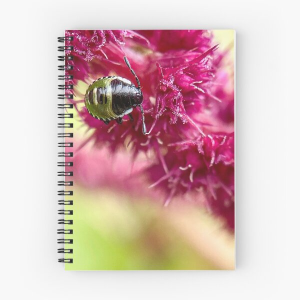 Item preview, Green shield bug on love lies bleeding designed and sold by TimConstable.