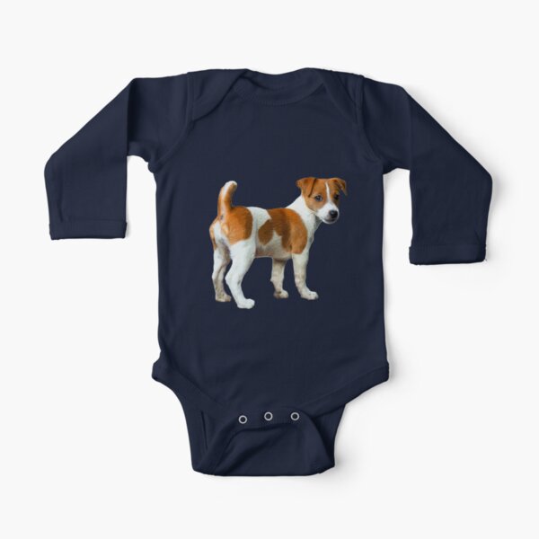 jack russell terrier clothes