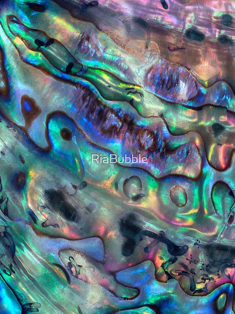 Paua Abalone Shell by RiaBubble