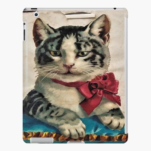 Cool Elegant Kitten Black Gray Cat iPad Snap Case