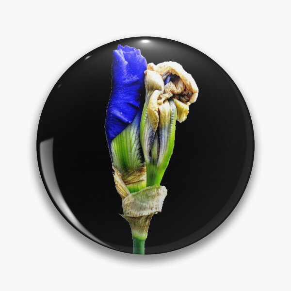 Item preview, A new iris unfurls designed and sold by BBrightman.