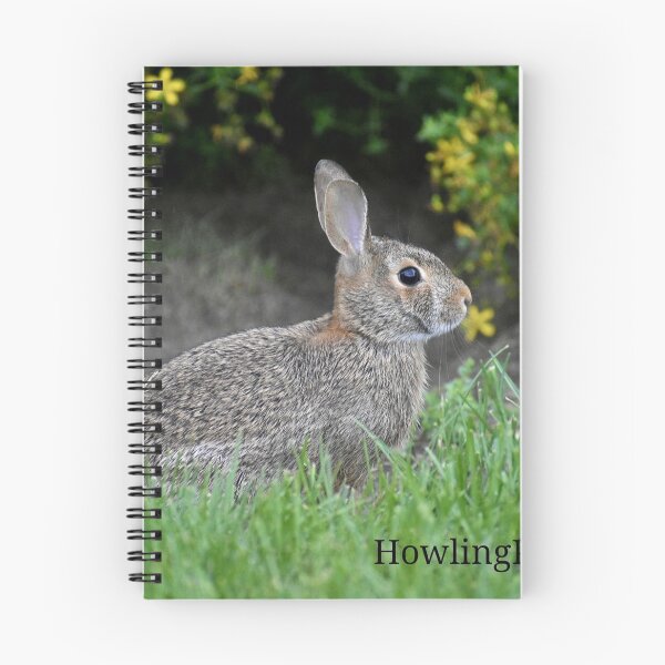 Artikelvorschau, buuny entworfen und verkauft von Howlingstudioss.