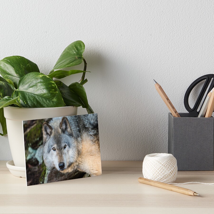 Item preview, Art Board Print designed and sold by WolvesOnly.