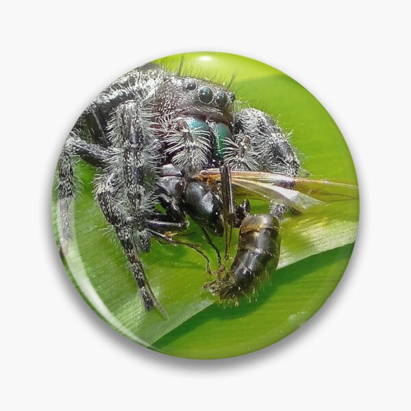 Item preview, Said the Spider to the Wasp designed and sold by BBrightman.