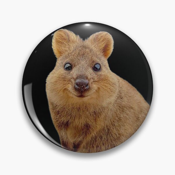 Artikelvorschau, Quokka entworfen und verkauft von BENAZCOMPANY.