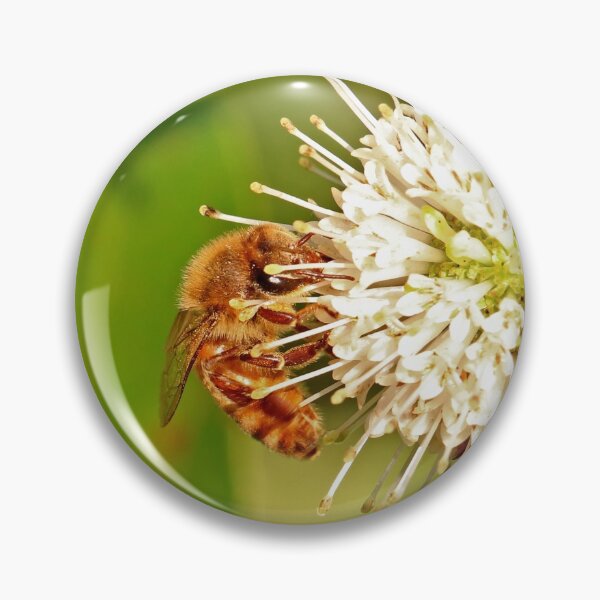 Item preview, Honeybee on Buttonbush designed and sold by mark-bugs-org.