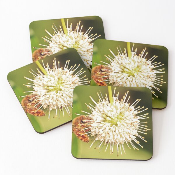 Item preview, Honeybee on Buttonbush designed and sold by mark-bugs-org.