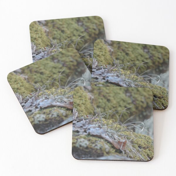 Item preview, Life on the Edge designed and sold by Laelia Arts.