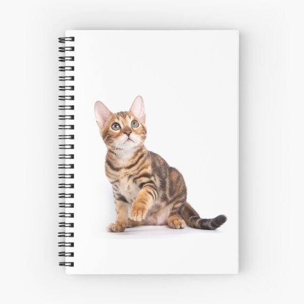 Item preview, Bengal kitten sitting with paw raised  designed and sold by utekhina.