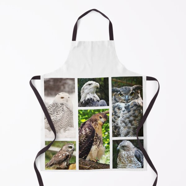 Item preview, birds of prey collection designed and sold by BBrightman.