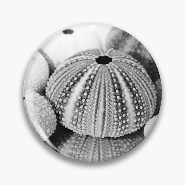 Item preview, Sea Urchin designed and sold by Islandjunkie09.