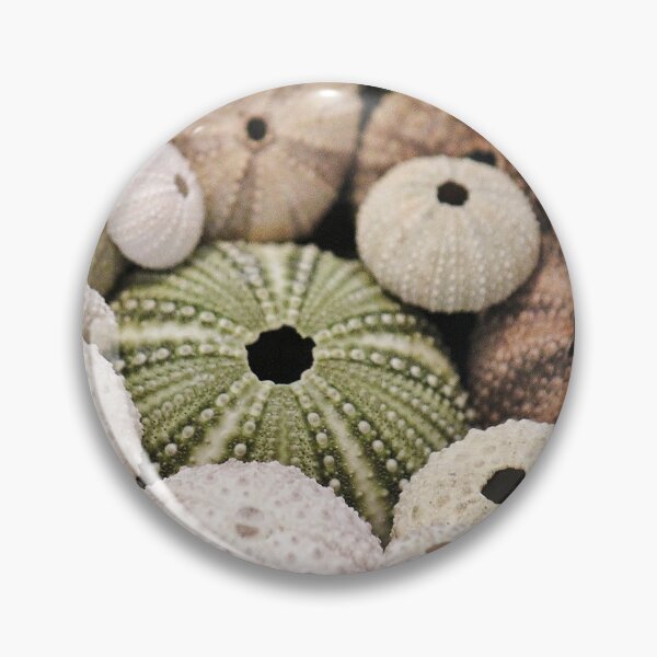 Item preview, Sea Urchin designed and sold by Islandjunkie09.