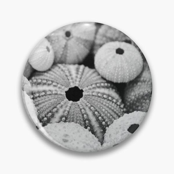 Item preview, Sea Urchin designed and sold by Islandjunkie09.