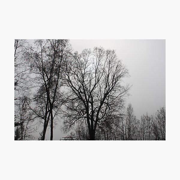Connaught Hill Silhouette Photographic Print