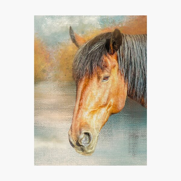 Bay Horse by the Lake Photographic Print