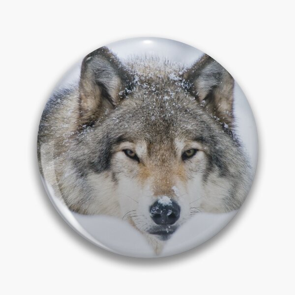 Item preview, Timber Wolf In Snow designed and sold by WolvesOnly.