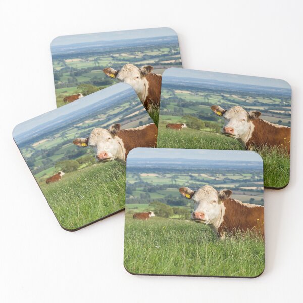 Item preview, Hereford Cow designed and sold by Jane Stanley Photography.