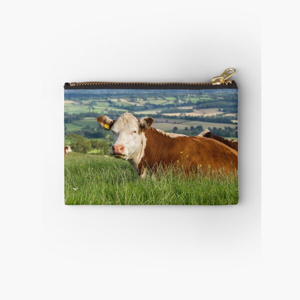 Item preview, Hereford Cow designed and sold by Jane Stanley Photography.