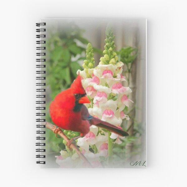 Item preview, RED CARDINAL designed and sold by Marie Leblanc.