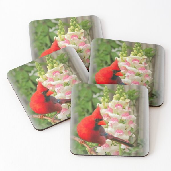 Item preview, RED CARDINAL designed and sold by Marie Leblanc.
