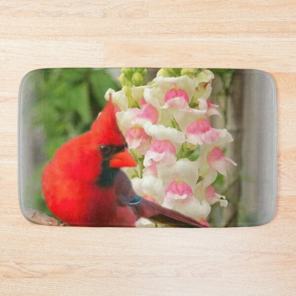 Item preview, RED CARDINAL designed and sold by Marie Leblanc.