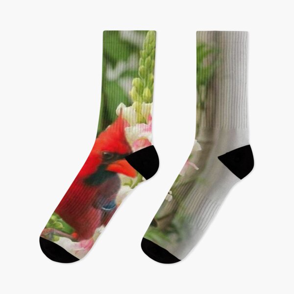 Item preview, RED CARDINAL designed and sold by Marie Leblanc.