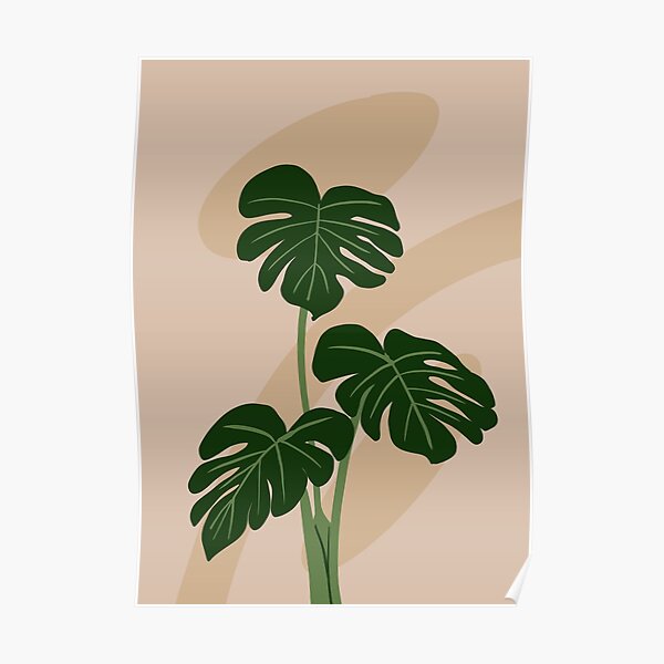 Monstera plant leaves, illustration art Poster