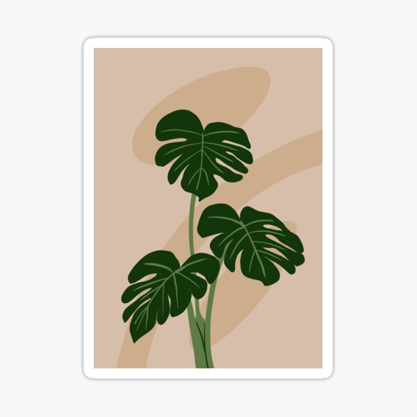 monstera plant leaves illustration art sticker by anukumariverma redbubble